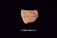 陶片藏品圖，第1張